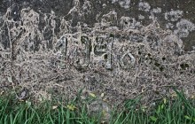 Bugyi izraelita temető