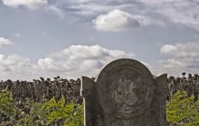 Izraelita temetők: Sárosd