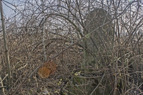 Zsáka izraelita temető