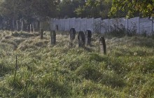 Izraelita temetők: Erdőbenye