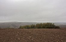 Selyeb izraelita temető