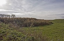 Izraelita temetők: Mezőzombor